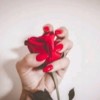 🌹🌹🔥🫣🤗
