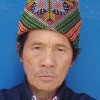 Ompok Ompoklee
