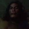 Elang  merah