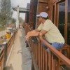 Sela purba