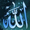 Hadari 12