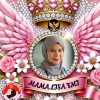 mamalisaFMI