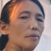 高双美