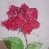 mulia