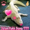 🌟🐊🐊BUAYA IMUT 🐊🐊