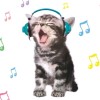 シ
