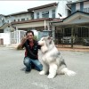 sam sam