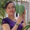 Đỗ Tâm