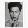Thai Son Ly