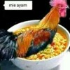 ayam jago