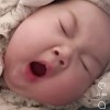 ..............