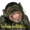 ป๊อป 