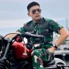 Hary adi