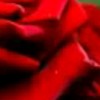 🎼🎤𝕬NNISA 𝕲AMA🌹🌟🥰