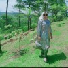 San WeSing 4480