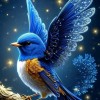 LIBRA