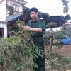 D PHUONG